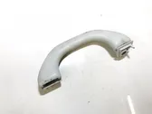 Front interior roof grab handle