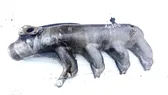 Intake manifold