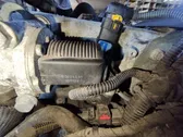EGR valve