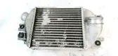 Intercooler radiator