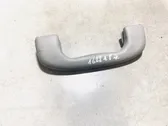 Front interior roof grab handle