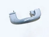 Rear interior roof grab handle