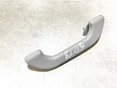 Front interior roof grab handle