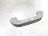 Front interior roof grab handle