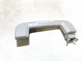 Front interior roof grab handle