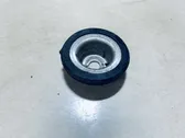 Coil spring mount