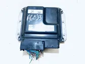 Calculateur moteur ECU