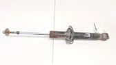 Rear shock absorber/damper