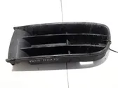 Front bumper lower grill