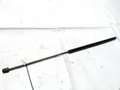 Amortiguador/puntal del capó/tapa delantero