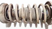 Rear coil spring