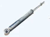 Rear shock absorber/damper