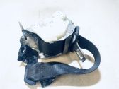 Middle seatbelt (rear)