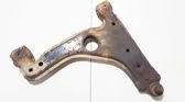 Front lower control arm/wishbone