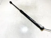 Tailgate/trunk strut/damper