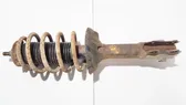 Front shock absorber/damper