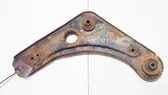 Front lower control arm/wishbone