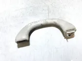 Front interior roof grab handle