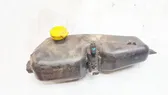 Windshield washer fluid reservoir/tank