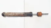 Rear shock absorber/damper