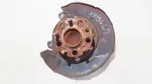 Rear brake disc plate dust cover