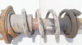 Rear coil spring