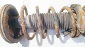 Rear coil spring