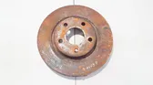 Front brake disc