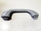 Front interior roof grab handle