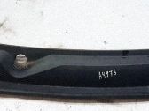 Moldura del limpia