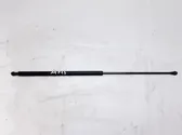Front bonnet/hood damper/strut