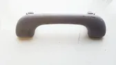 Front interior roof grab handle