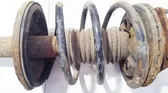 Front coil spring