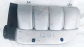 Engine cover (trim)