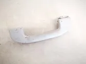 Front interior roof grab handle