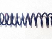 Muelle espiral trasero