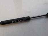 Tailgate/trunk strut/damper