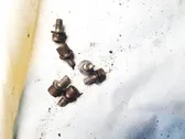 Nuts/bolts