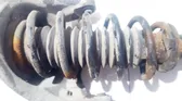 Front coil spring