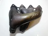 Exhaust manifold