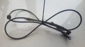 ABS rear brake sensor