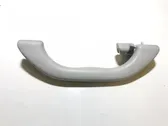 Front interior roof grab handle