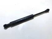 Amortiguador/puntal del capó/tapa delantero