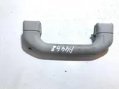 Front interior roof grab handle