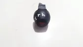 Botón interruptor de luz de peligro