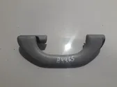 Front interior roof grab handle