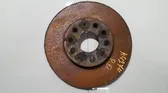 Front brake disc