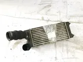 Intercooler radiator