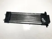 Electric cabin heater radiator