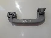 Front interior roof grab handle